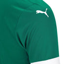Maglia Palmeiras 25/26 I Home - Versione Tifoso