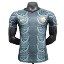 Maglia Barcelona 25/26 Edizione Speciale - Grigio - Versione Giocatore