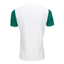 Maglia Palmeiras 25/26 II Away - Versione Tifoso