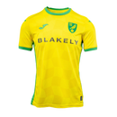 Maglia Norwich 24/25 I Home - Versione Tifoso