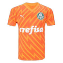 Maglia Palmeiras 24/25 Portiere III Third - Versione Tifoso