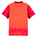 Maglia Palmeiras 25/26 Edizione Speciale II - Versione Tifoso