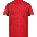 Maglia Wolverhampton 23/24 II Away - Versione Tifoso